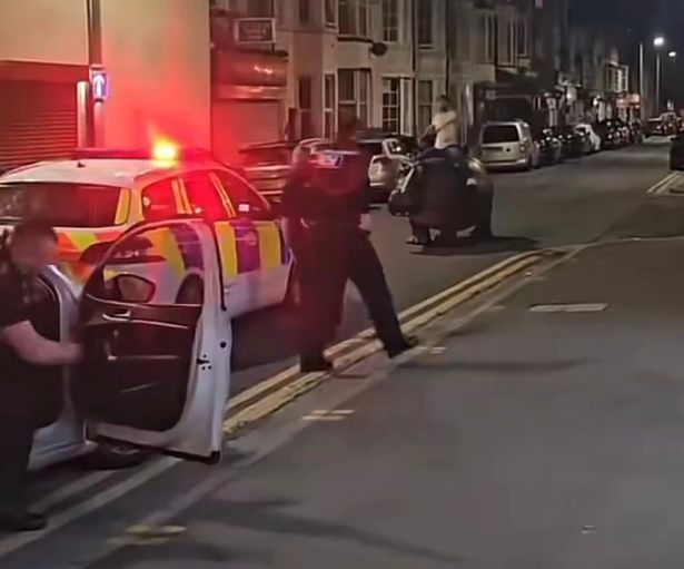 英国警方在接到在路中间发现“河马”的报告
